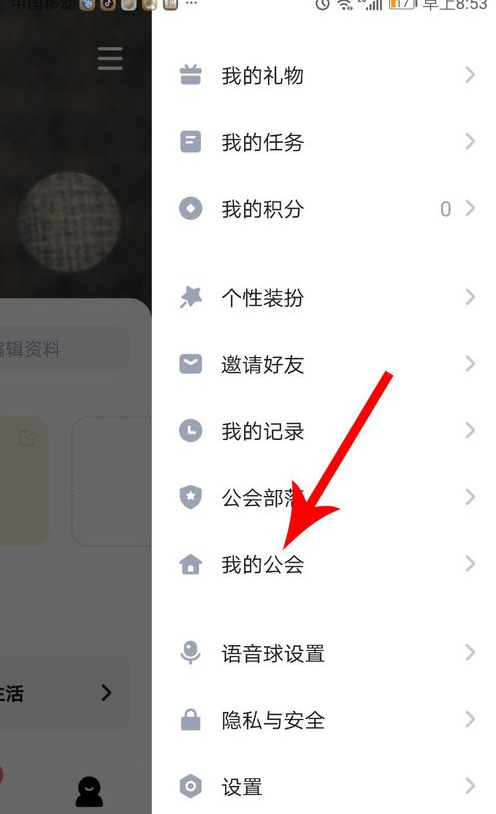 欢游官方正版 欢游官方正版