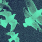 三色心像测试官方手机版