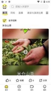 熊猫视频app下载最新版