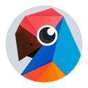 有道翻译官app 4.3.25安卓版